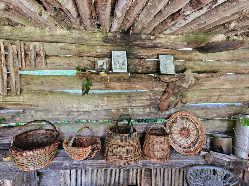 The tutors baskets at Knowlands Woods