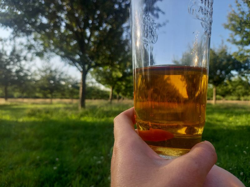 The Gardeners Orchard cider