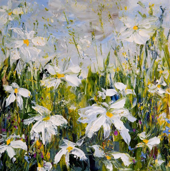 Ox-eye daisies