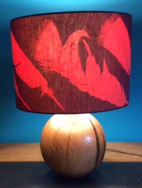 Turkey Feather Sun Printed Lamp shade on terracotta material 