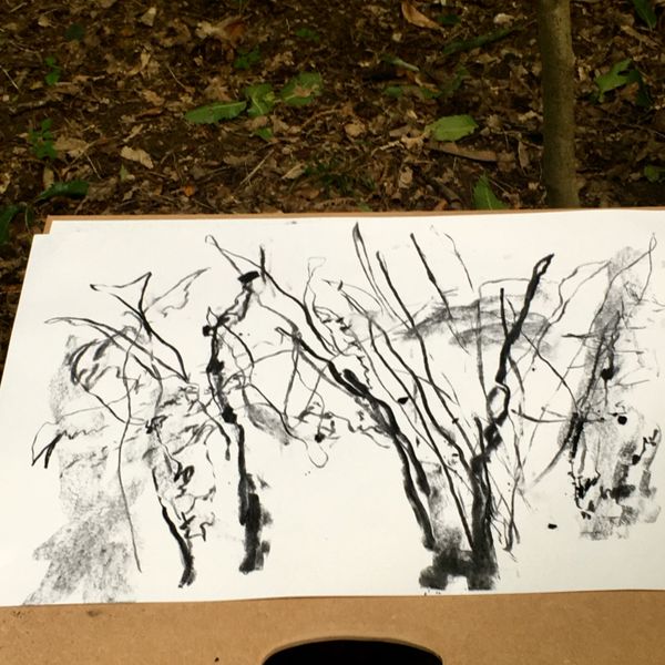 woodland scene in charcoal