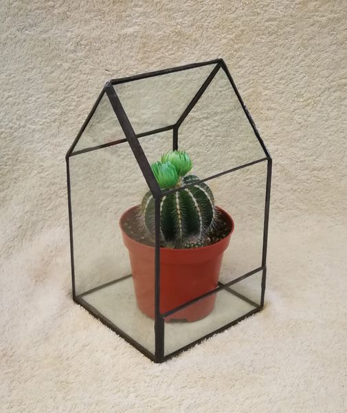 Terrarium