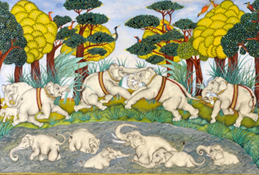 Indian Miniature Painting Elephants by Samantha Buckley