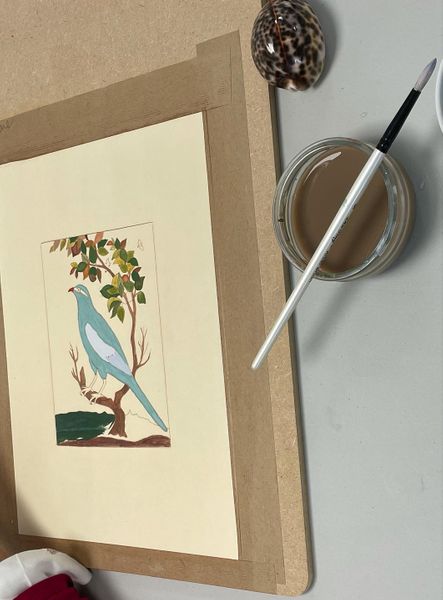 Indian Miniature painting Birds with Samantha Buckley