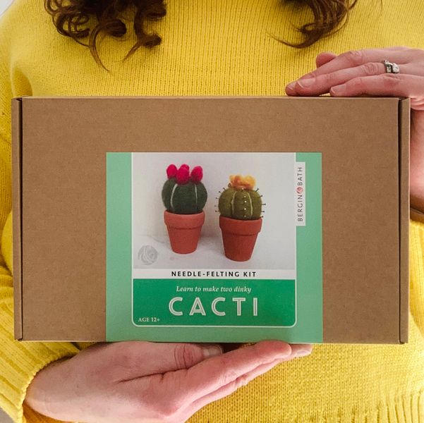 Full Range of Needle Felting Kit Needles KISSBUTY Cactus Wool Felted Set for Adults and Beginners Including Wool Roving for 4 Succulents Finger Guards Tools Kit Foam Mat 