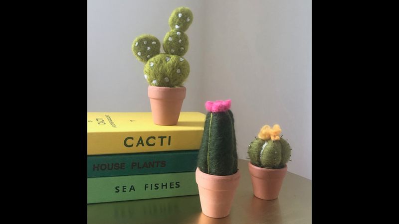 Needle Felted Cacti Kit - Bergin & Bath