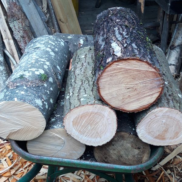 ideal green woodworking logs