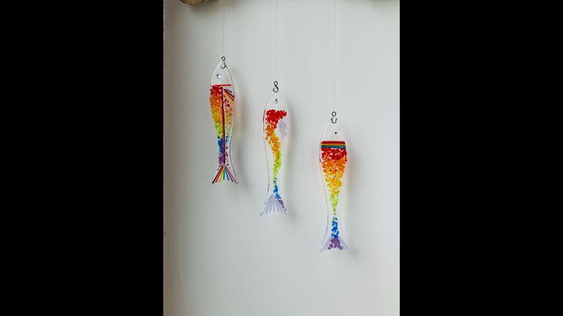 These colourful fish make fantastic gifts!