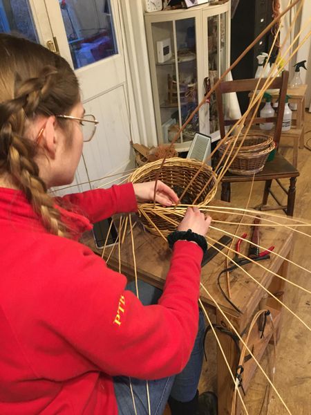 small round willow basket in progress  - laying down the border