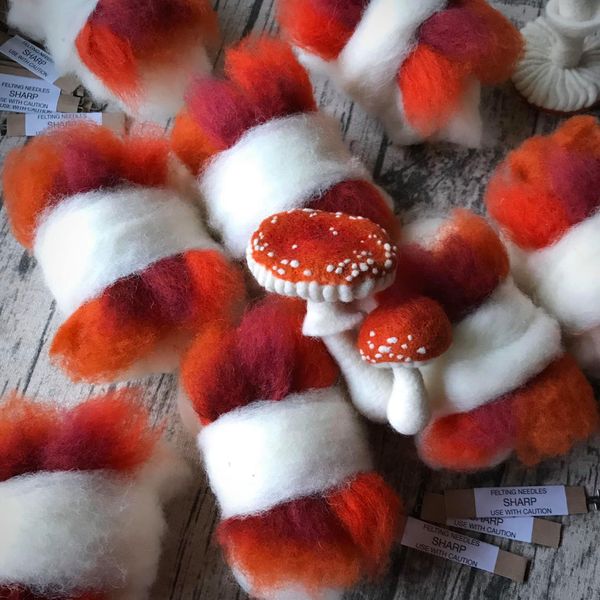 supplies include different shades of red/orange quality needle felting wools to achieve realistic results