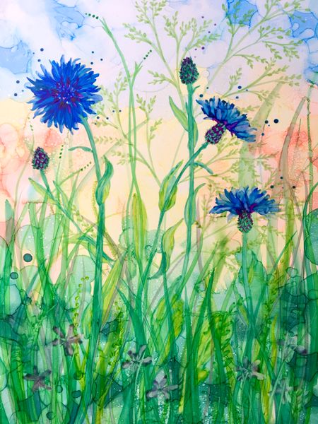 Cornflowers by Millie Moth