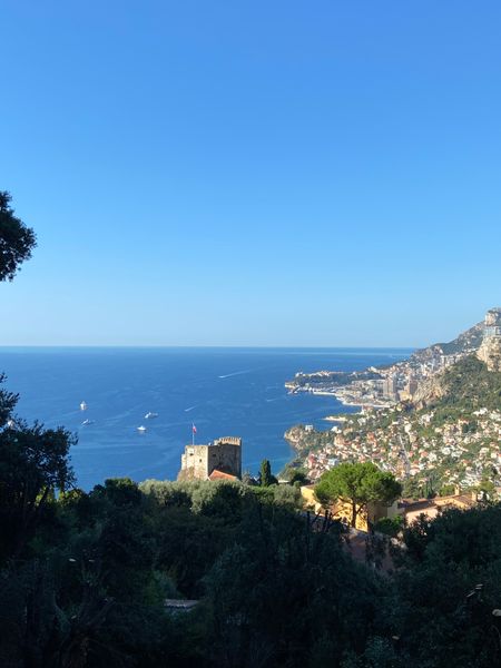 View of Monte-Carlo 