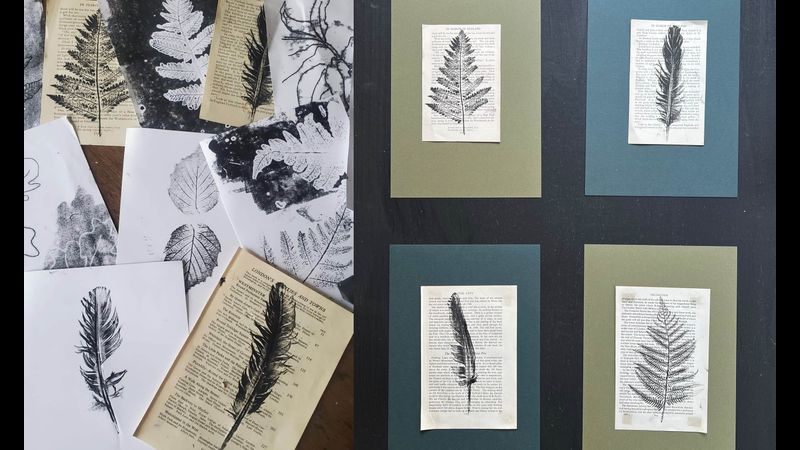 Botanical prints and examples of how they can be mounted after