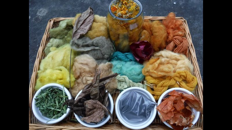 Dye plant materials and resulting colours