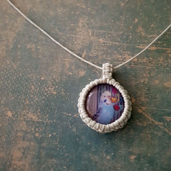 Macrame pendant with photo backing (Bobby the Budgie)