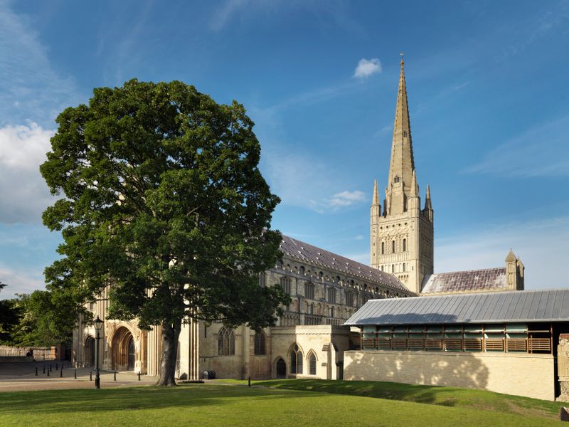 Norwich cathedral in the beautiful Cathedral Close, near the river. One of the many lovely locations to visit.
