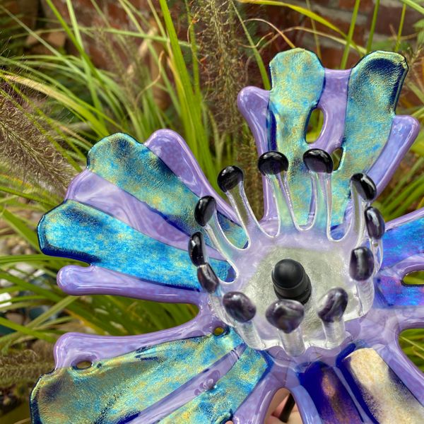 Mottled purple and blue flower