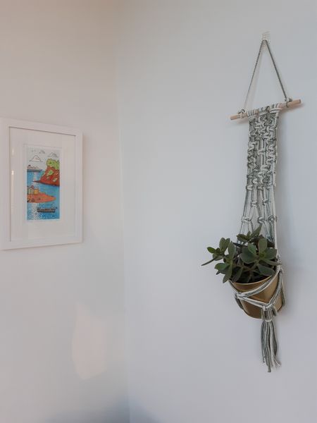 Macrame Plant Holder in Green Cord Colour Choice