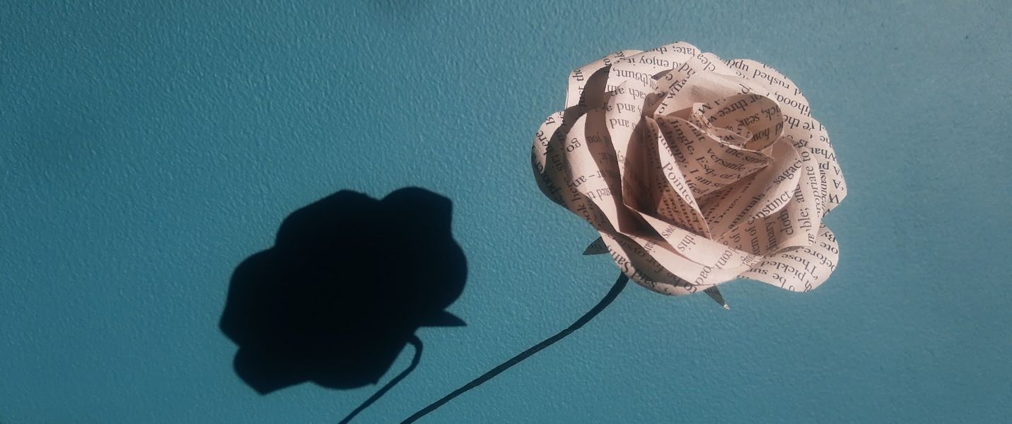 Book paper rose with shadow