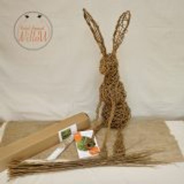 Willow Hare 1