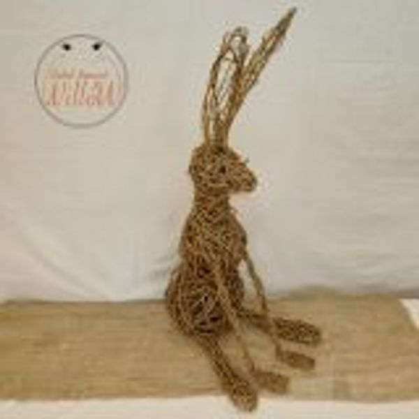 Willow Hare 2