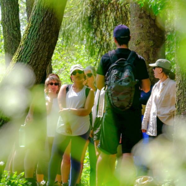 foraging course group in summer