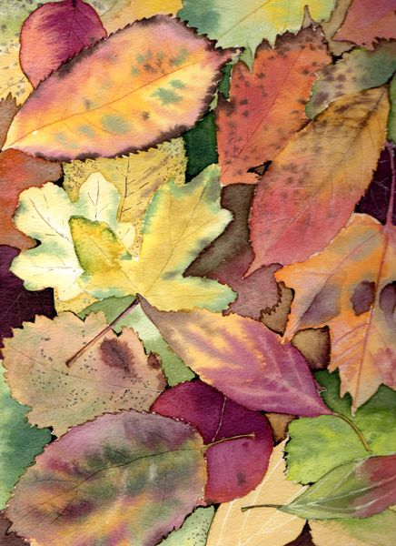 Watercolour autumn leaves