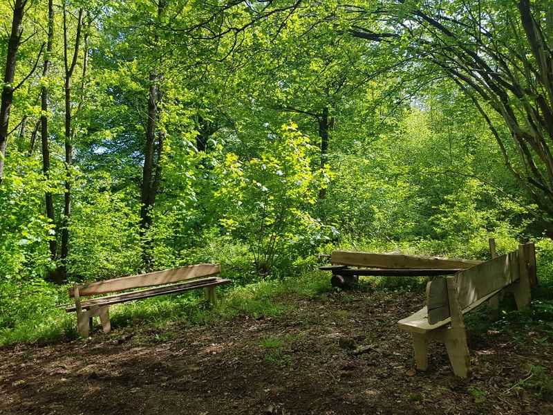 Seating near the Voltaire's Wood A-frame