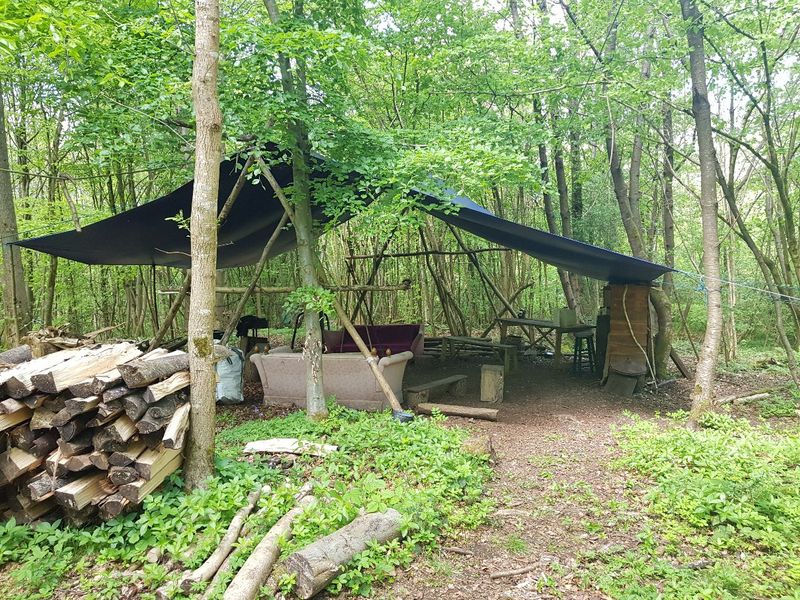 The A-frame, Voltaire's Wood covered woodland workshop space.