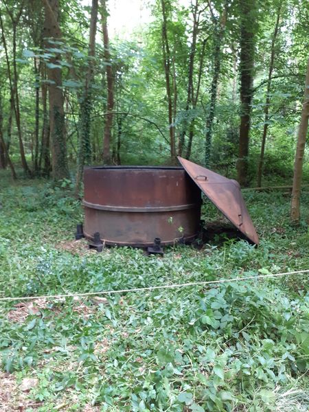 Charcoal Kiln within the woods