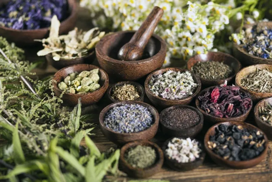 A selection of dried herbs for using in soaps