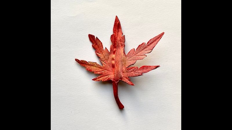 Handpainted silk and leather leaf brooch - Japanese Maple
