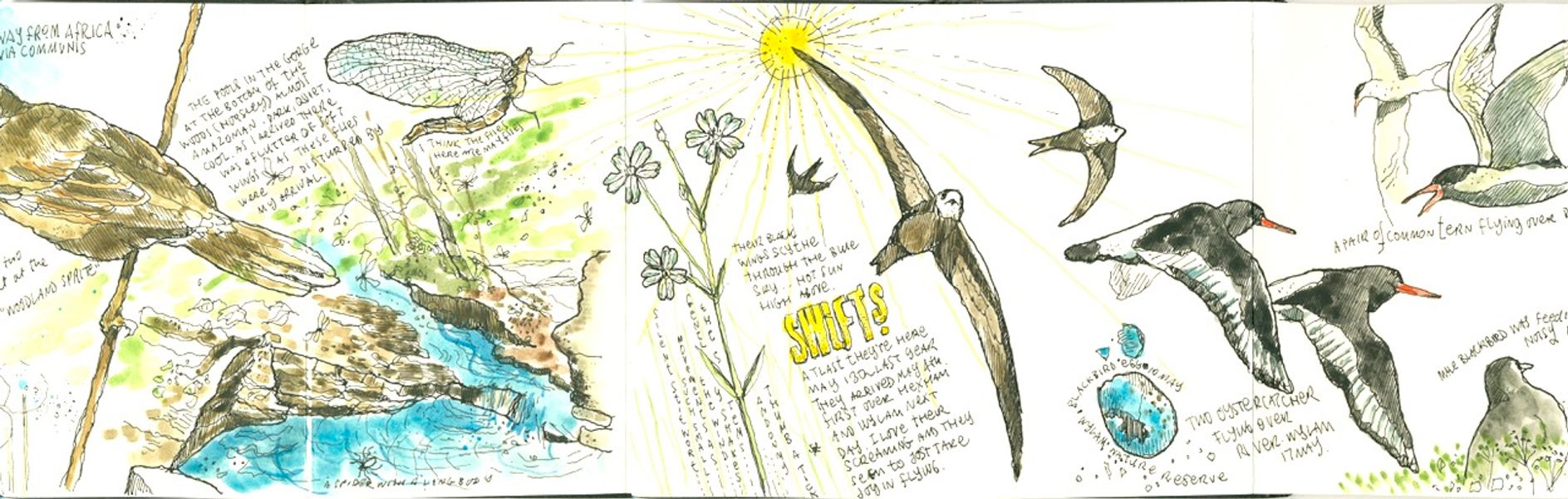 Shortcut to Nature Journalling' with Steve Pardue, a 'Quirky Workshop' in Greystoke, Cumbria and Lake District 