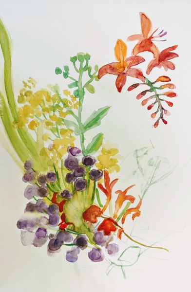 sketching flowers in watercolour
