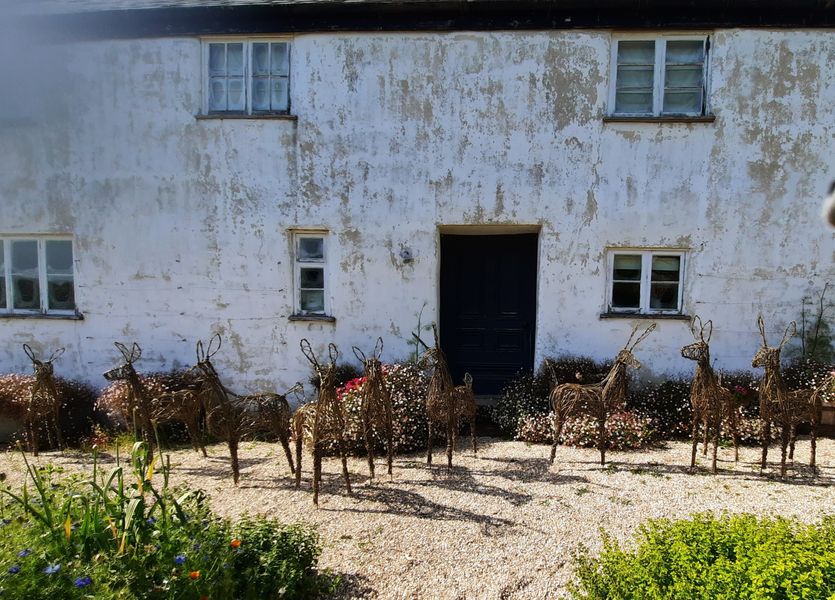 Deer River Cottage 