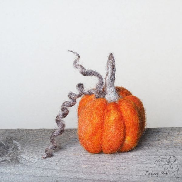 Autumnal decor - needle felt