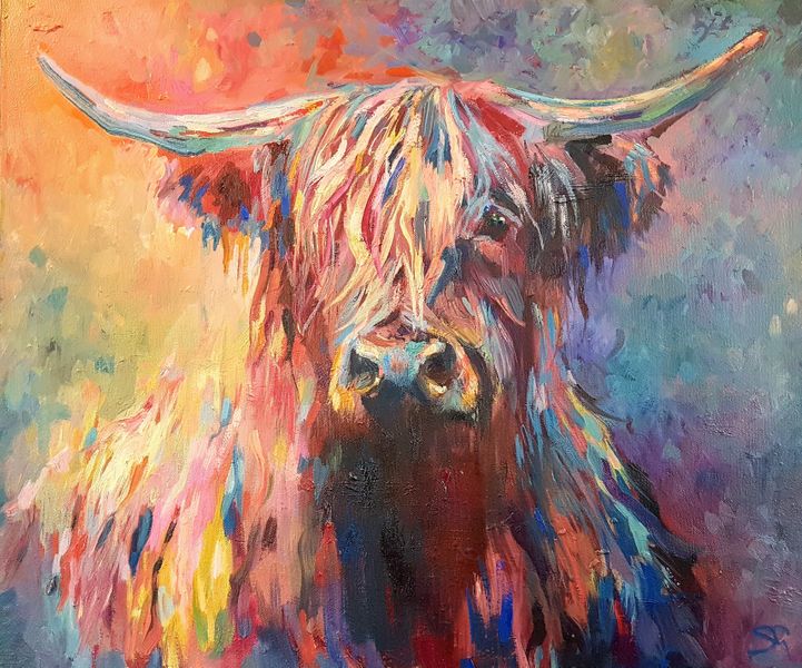 Highland Cow by Sue Gardner
