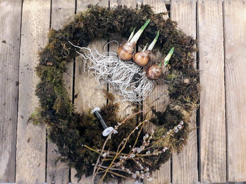 You will make the base from scratch using either willow or birch depending on the style chosen and a selection of flowering Spring Bulbs