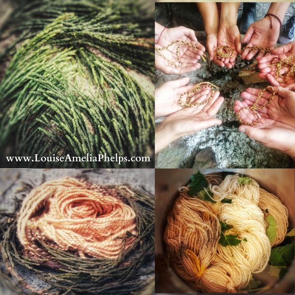 plant dyeing stages