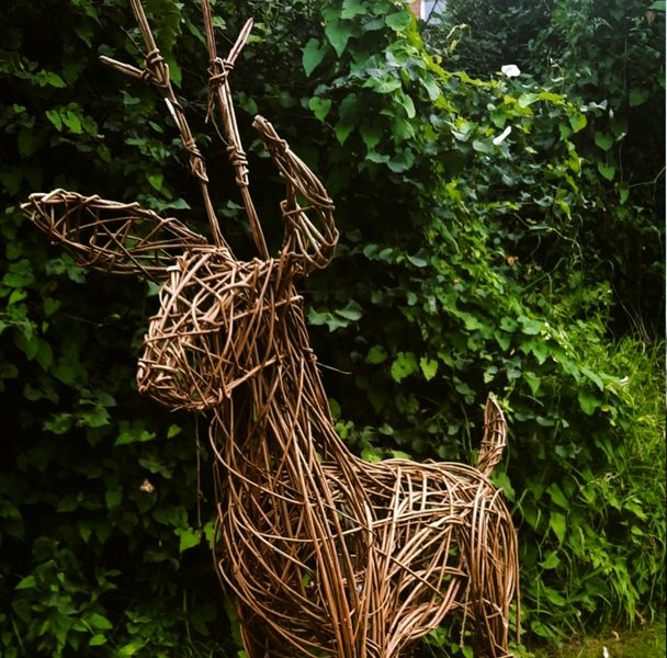 Willow Deer