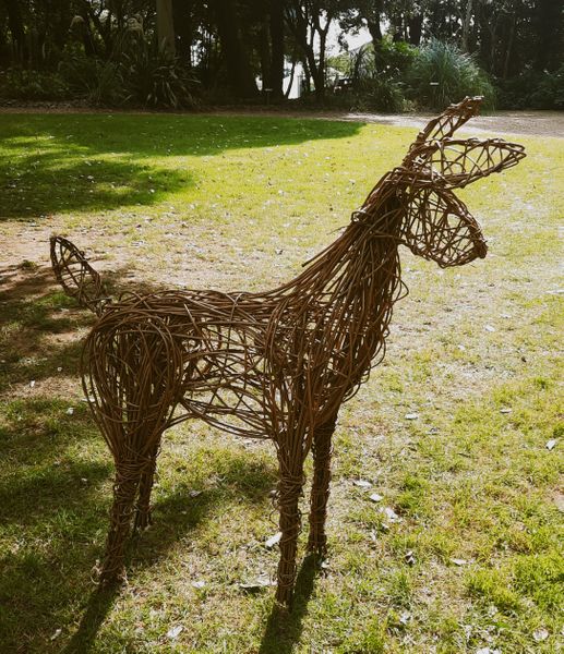 Willow Deer