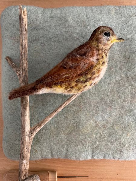 Needle felted Song Thrush