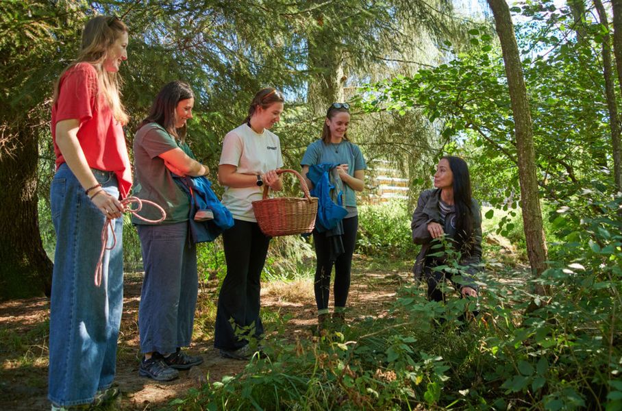 Wild Food Foraging Walks