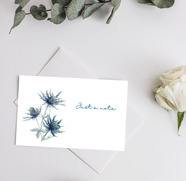 Watercolour Print Notelets featuring stunning blue Eryngium from Maire Curtis Lakeland Studio
