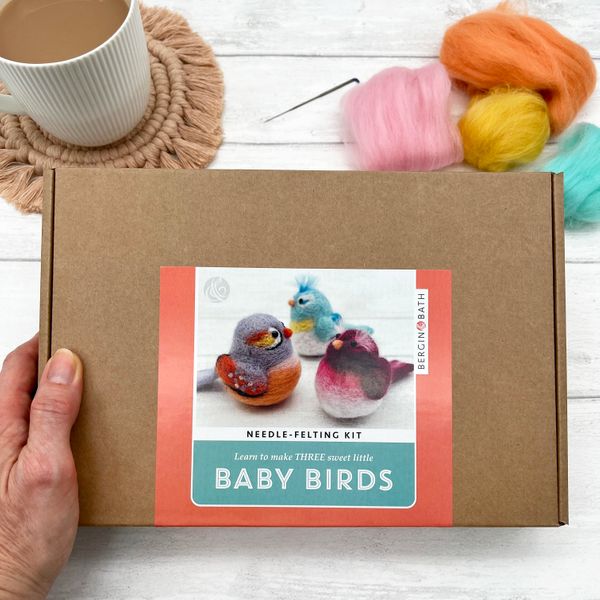Needle felted baby birds kit