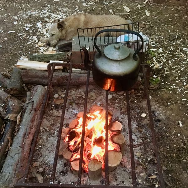 Camp fire and kettle