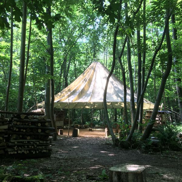 woodland shelter
