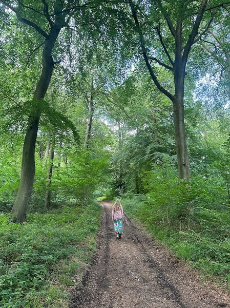 Nettlebed Woodland 