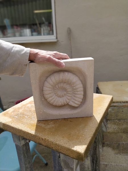 A Portland stone ammonite carved at the weekly sessions at The Stone Carving Studio