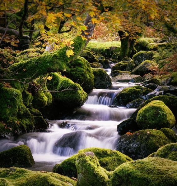 Autumnal Beck